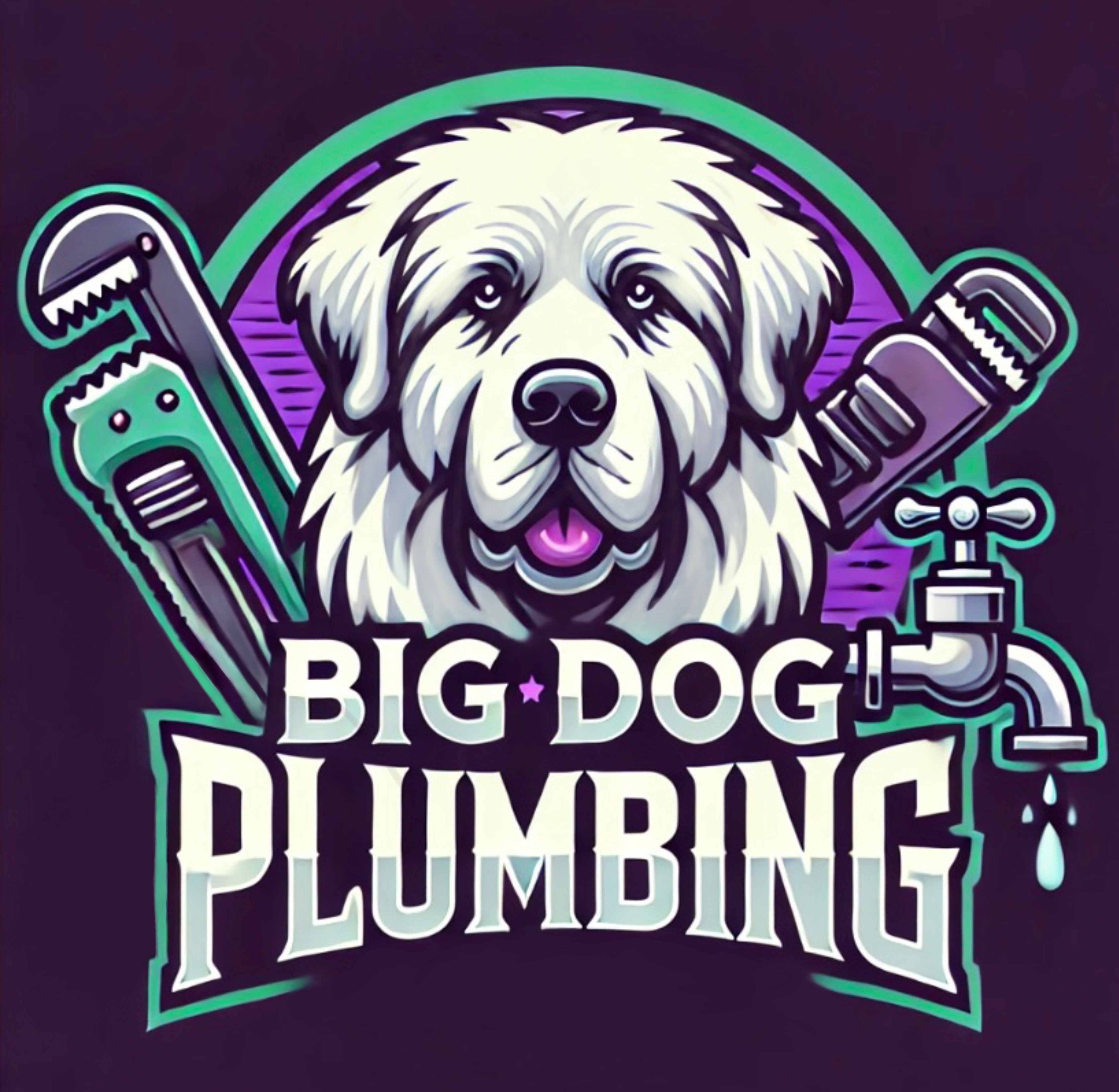 Big Dog Plumbing